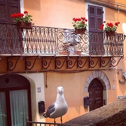 L'Appogghju Bed & Breakfast Castelsardo Exterior foto