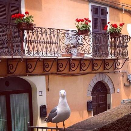 L'Appogghju Bed & Breakfast Castelsardo Exterior foto